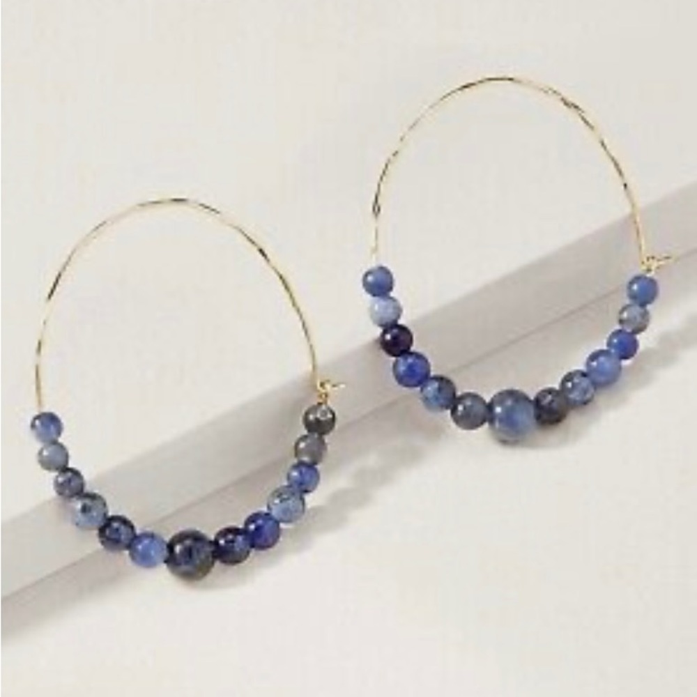 Stella and Dot Rhett hoop earrings